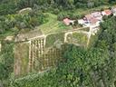 ter-agricolo-a-castellinaldo