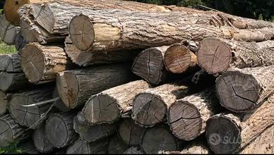legna robinia SECCA per liberare garage 