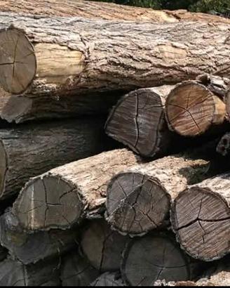 legna robinia SECCA per liberare garage 