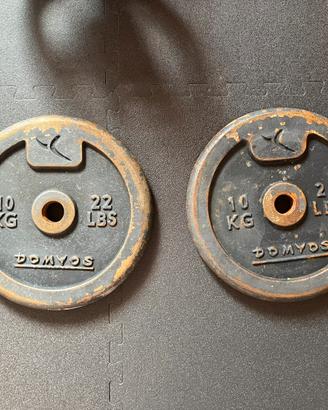 Dischi in ghisa 10kg palestra