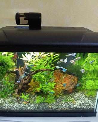 acquario tetra 50 LT completo 