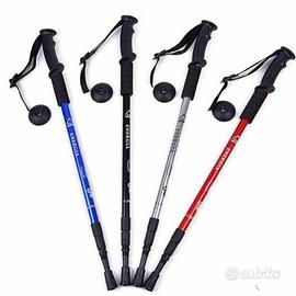 Hiking sticks