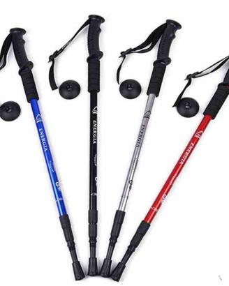 Hiking sticks