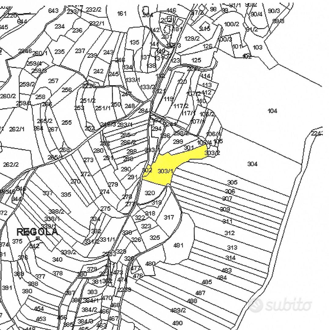 Frutteto produttivo 5.380 m² con bosco - Vista 2