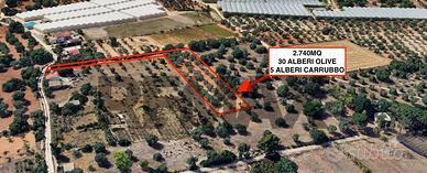 Terreno - Comiso