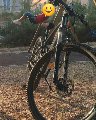 Bicicletta