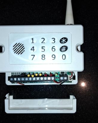 Combinatore telefonico allarme