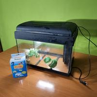 acquario e accessori 