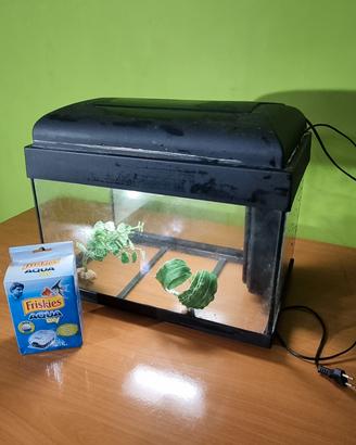 acquario e accessori 