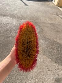 spazzole cavallo