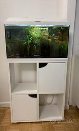 Acquario aqpet 60 litri con mobile, pesci e piante