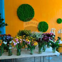 Attività  Commerciale - Siracusa