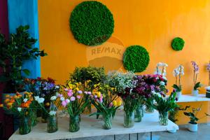 Attività  Commerciale - Siracusa