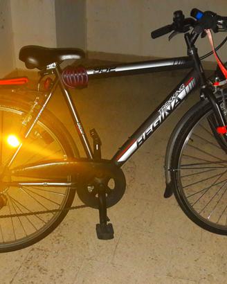 bicicletta Trekking