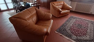 Poltrone in vera pelle