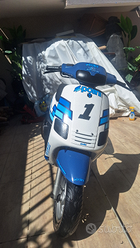 Zip sp polini Vendita in Motori