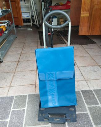 Carrello spesa