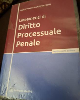 lineamenti diritto processuale penale