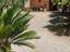 Immagine 7