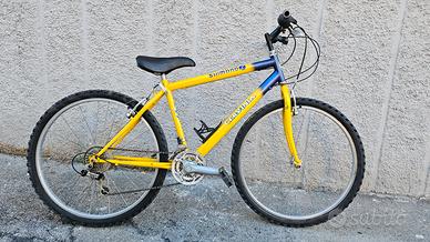 Mountain bike 26 pollici perfettamente funzionante