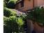Immagine 15