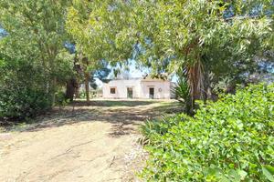 Rustico/Casale/Corte - Carovigno