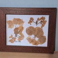 Quadretto con fiori secchi