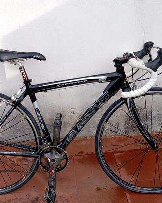 Nsr carbonio taglia S