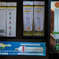 Due Lampade CFL con Portalampade