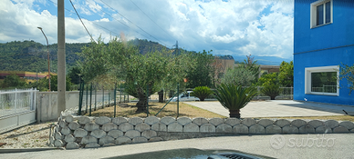 Locale per bar/ristorante