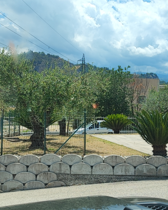 Locale per bar/ristorante