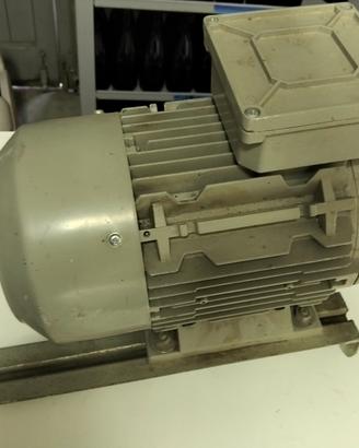 Motore trifase 1,5KW NUOVO 