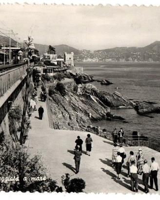 N 5 Cartoline della Liguria Nervi  Pianrocchetta