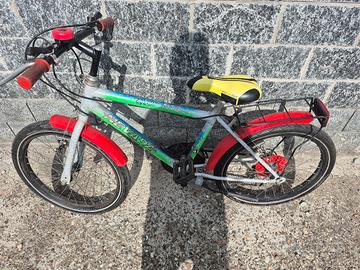 bicicletta mountain bike bambino 20'