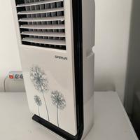 Raffrescatore daria ferrari