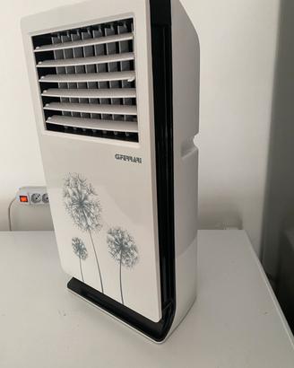 Raffrescatore daria ferrari