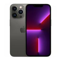 iPhone 13 Pro - colore grafite - 256 GB