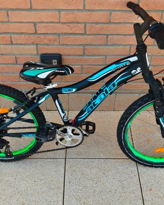 bicicletta da ragazzo 20 pollici
