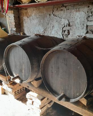 Botti da vino