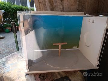 teca espositore uccelli 