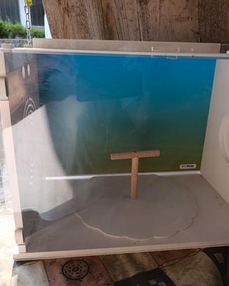 teca espositore uccelli 