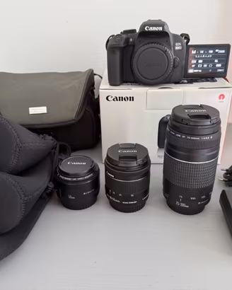 Canon EOS 800D + 18-55 mm + 50 mm + 75-300 mm