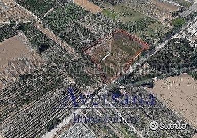 Terreno agricolo di 8950 mq con fronte starda