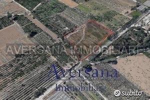 Terreno agricolo di 8950 mq con fronte starda