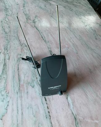 Antenna amolificata