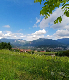 Terreno agricoli in Vallagarina da privato