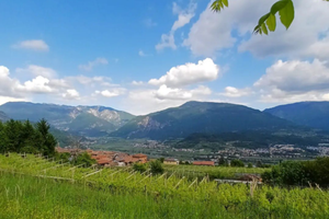 Terreno agricoli in Vallagarina da privato