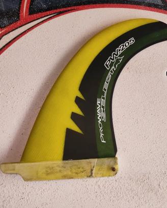 pinna Windsurf   Nuova