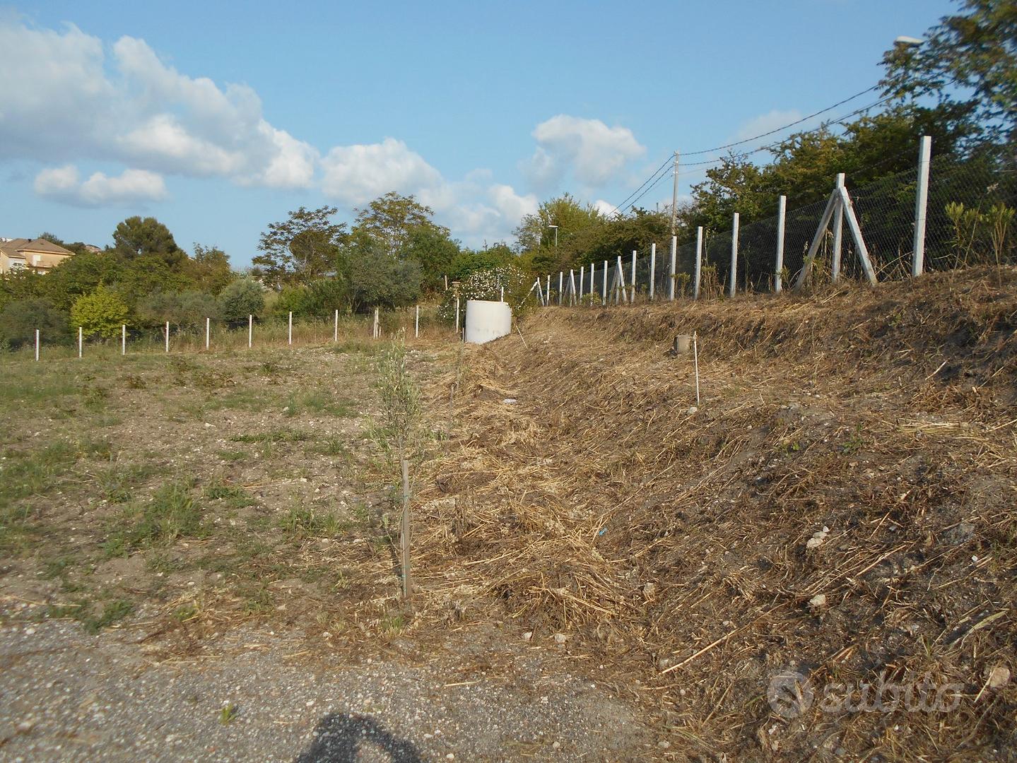 Terreno contrada sartania San Cataldo - Vista 3