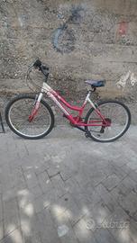 bicicletta da città 